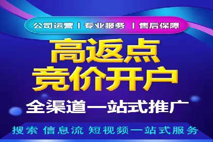 案例分析：百度竞价托管助力行业龙头